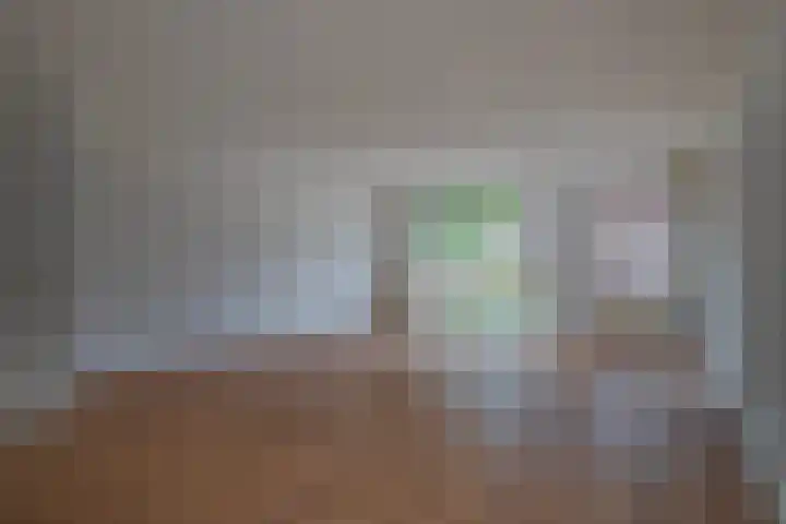 Hallsteinstraat 61 Zevenaar thumbnail 12