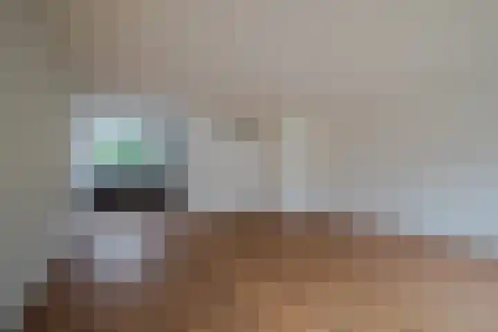 Hallsteinstraat 61 Zevenaar thumbnail 13