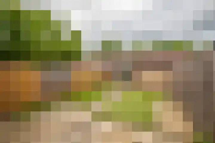 Hallsteinstraat 61 Zevenaar thumbnail 16