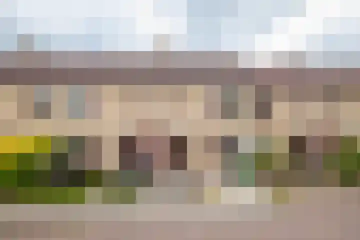 Hallsteinstraat 61 Zevenaar thumbnail 5