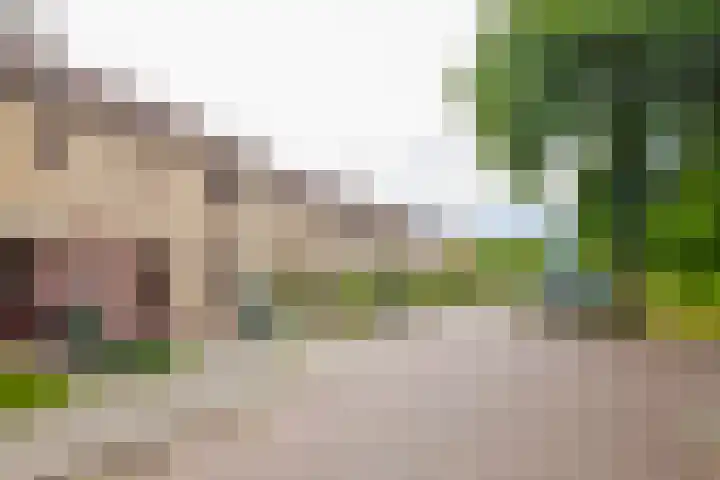 Hallsteinstraat 61 Zevenaar thumbnail 8