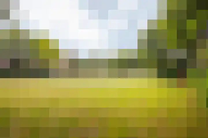 Hallsteinstraat 61 Zevenaar thumbnail 9