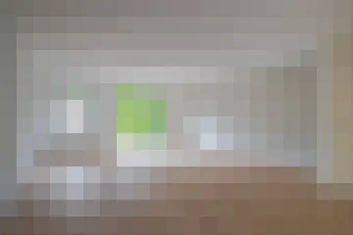 Hallsteinstraat 87 Zevenaar thumbnail 10