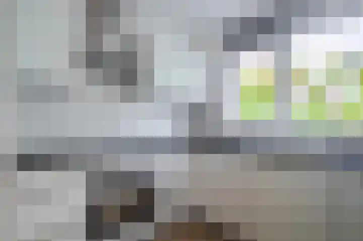 Hallsteinstraat 87 Zevenaar thumbnail 15