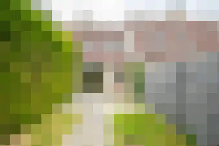 Hallsteinstraat 87 Zevenaar thumbnail 16