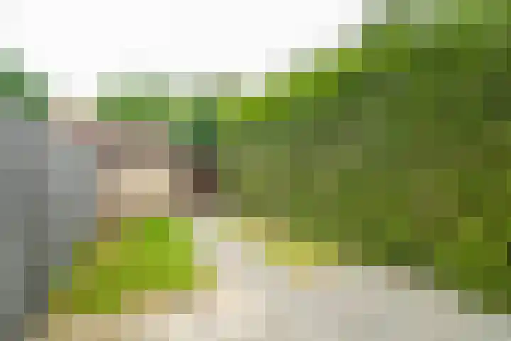 Hallsteinstraat 87 Zevenaar thumbnail 17