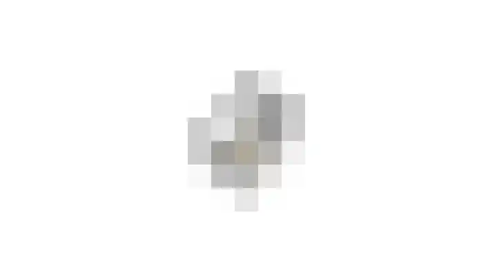 Hallsteinstraat 87 Zevenaar thumbnail 40