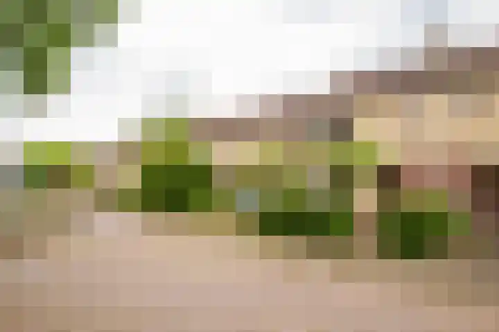Hallsteinstraat 87 Zevenaar thumbnail 7