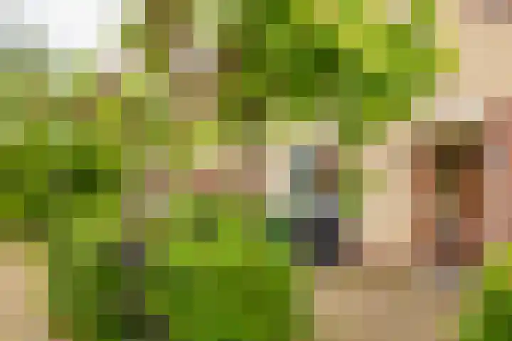 Hallsteinstraat 87 Zevenaar thumbnail 8