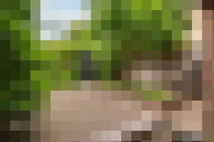 Halmaheiraplein 2 Dordrecht thumbnail 54