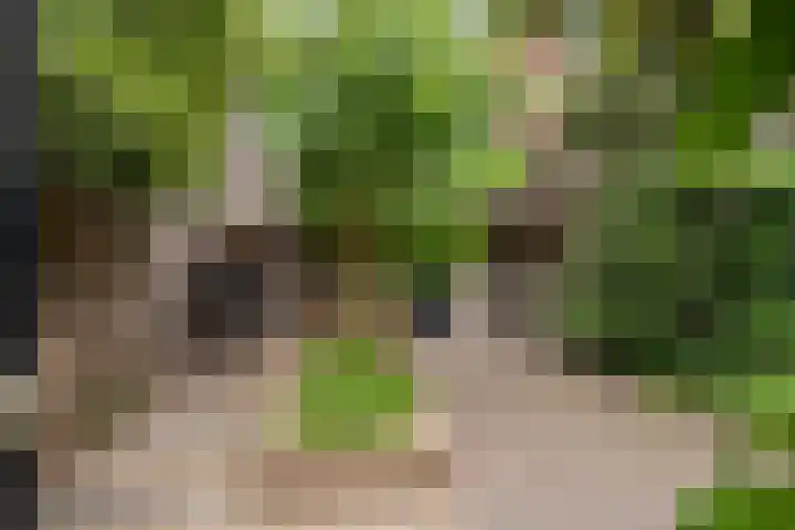 Halmaheiraplein 2 Dordrecht thumbnail 56
