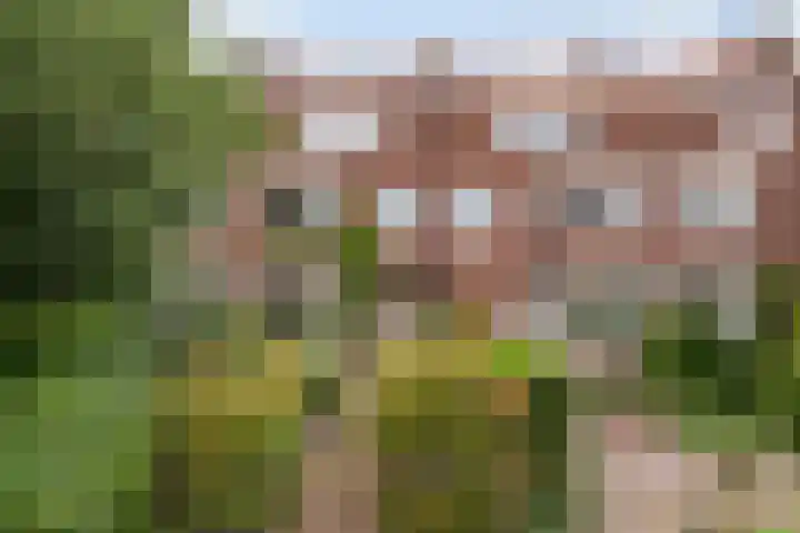 Halmaheiraplein 2 Dordrecht thumbnail 57