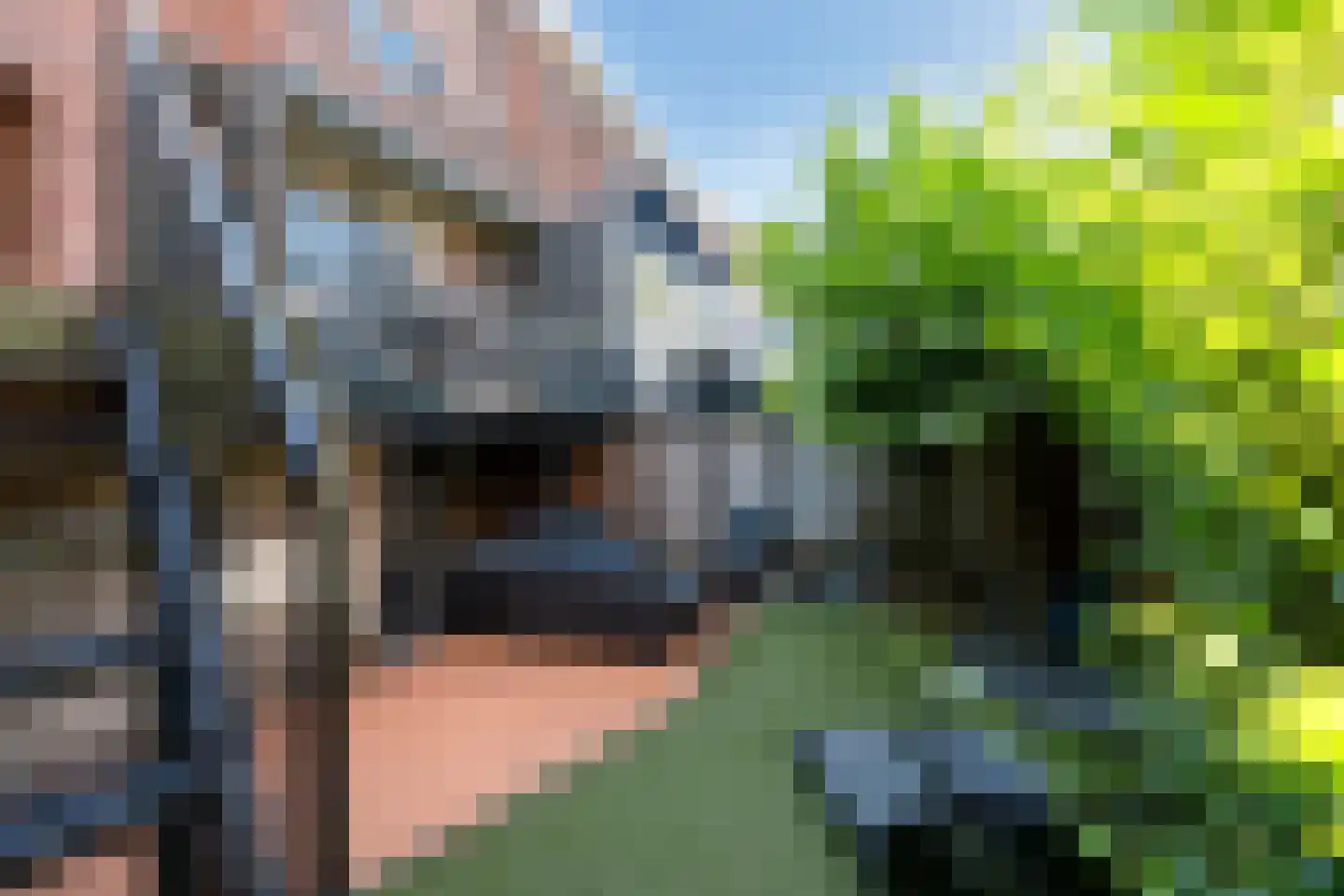 Halmaheiraplein 4 Dordrecht thumbnail 58