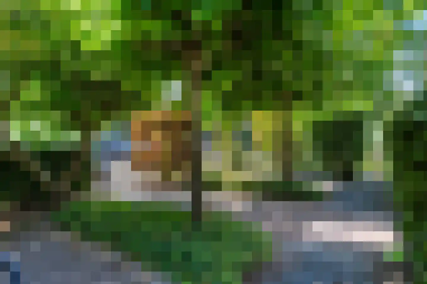 Halmaheiraplein 4 Dordrecht thumbnail 66
