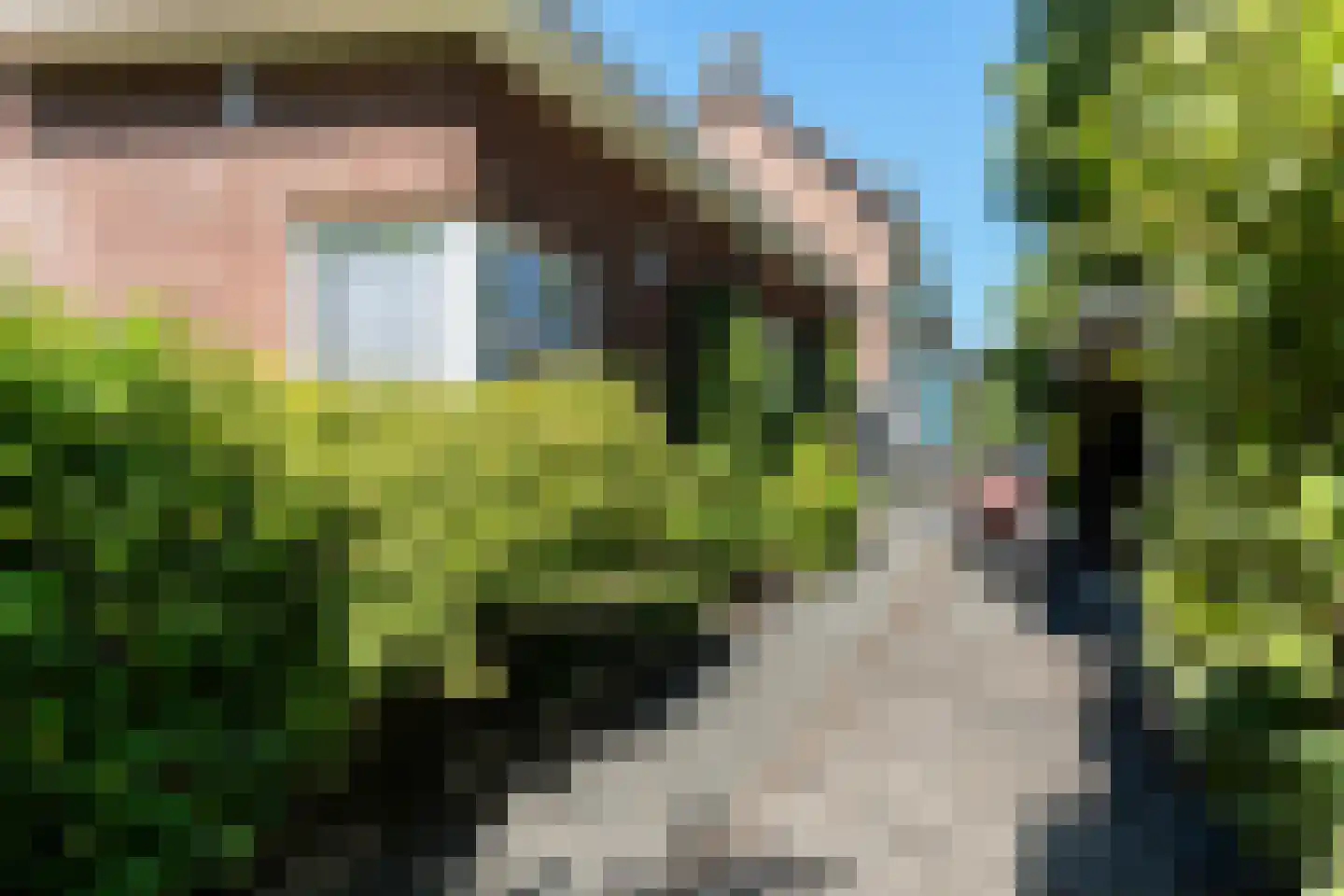 Halmaheiraplein 4 Dordrecht thumbnail 67