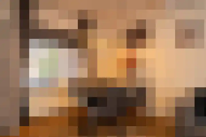 Halmaherastraat 6 Enschede thumbnail 10