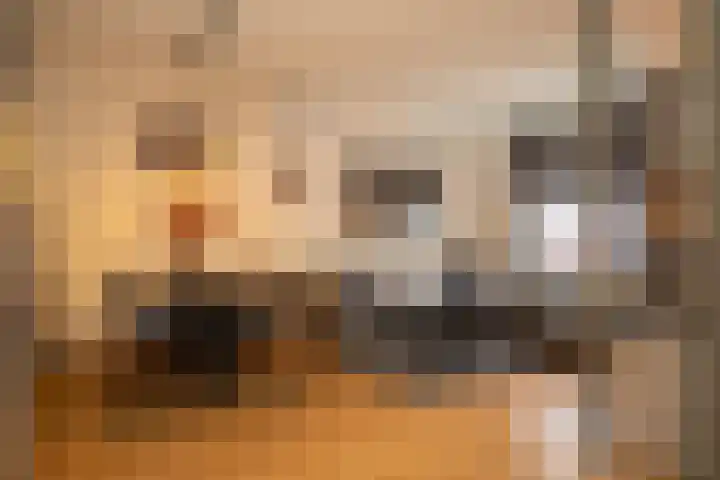 Halmaherastraat 6 Enschede thumbnail 11