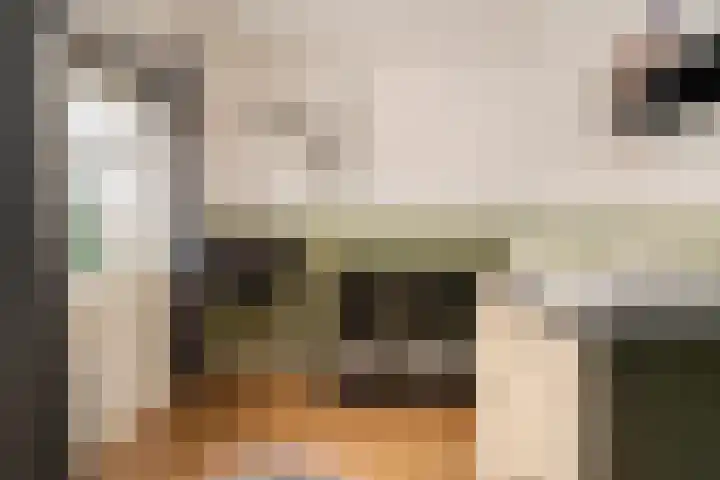 Halmaherastraat 6 Enschede thumbnail 16