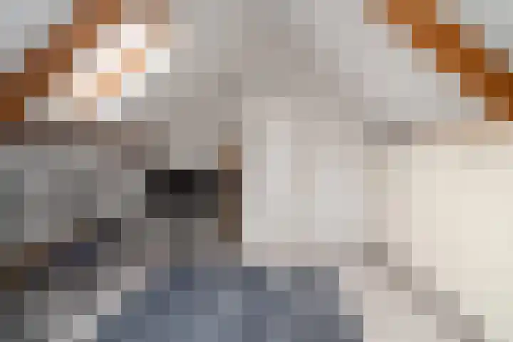 Halmaherastraat 6 Enschede thumbnail 20