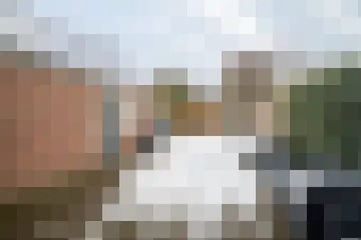 Halmaherastraat 6 Enschede thumbnail 23