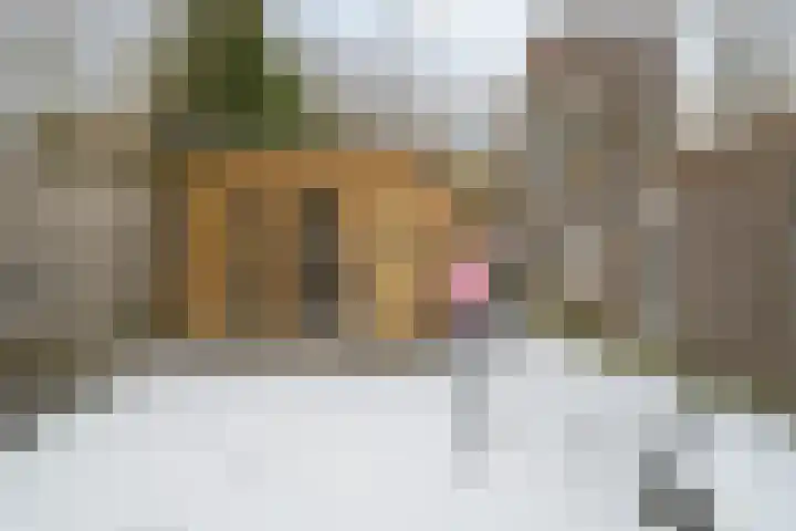 Halmaherastraat 6 Enschede thumbnail 24