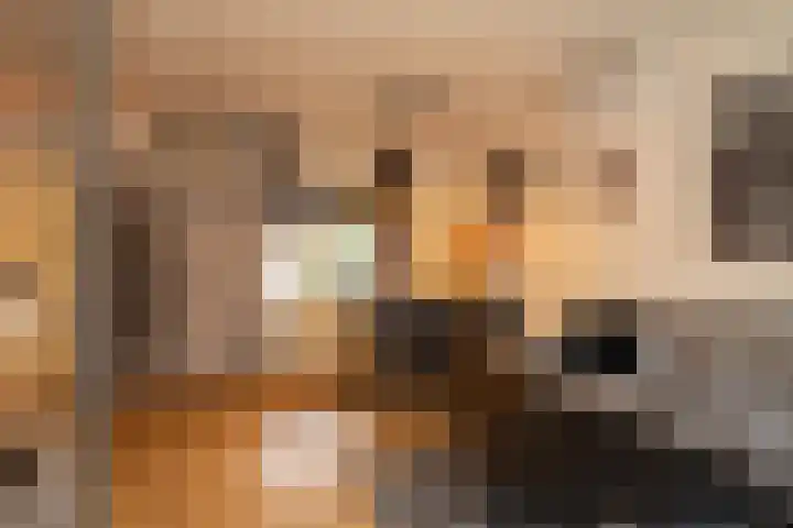 Halmaherastraat 6 Enschede thumbnail 9