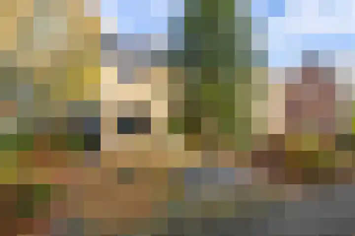 Halmersinge 15 B Zuidlaren thumbnail 39