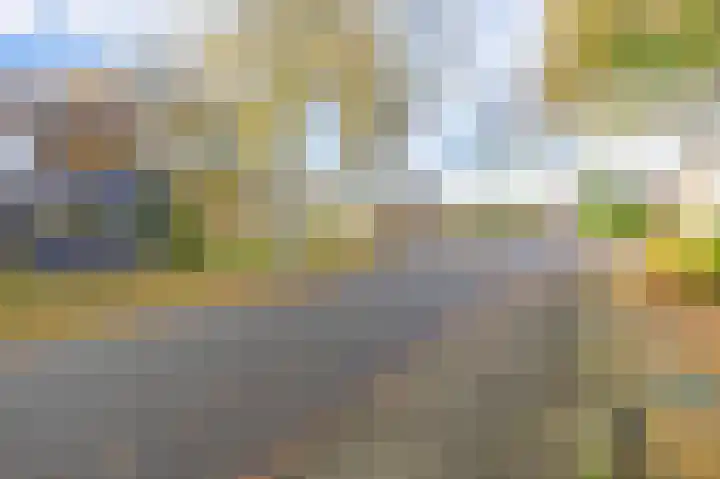 Halmersinge 15 B Zuidlaren thumbnail 42