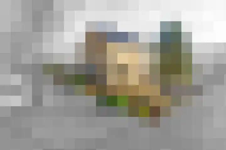 Halmersinge 15 B Zuidlaren thumbnail 5