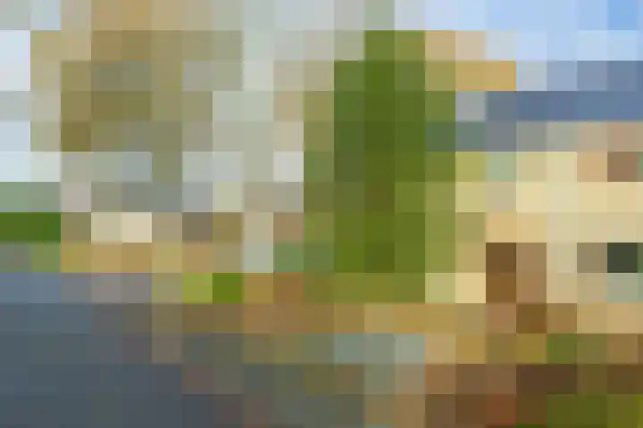 Halmersinge 15 B Zuidlaren thumbnail 6