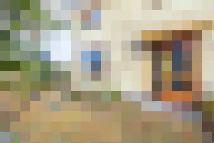 Halmersinge 15 B Zuidlaren thumbnail 7