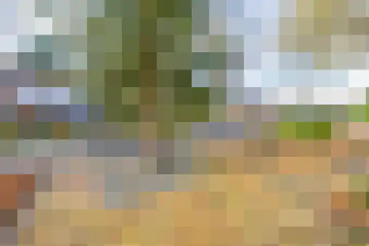 Halmersinge 15 B Zuidlaren thumbnail 8