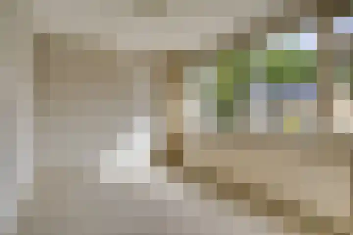 Halmersinge 16 Zuidlaren thumbnail 17