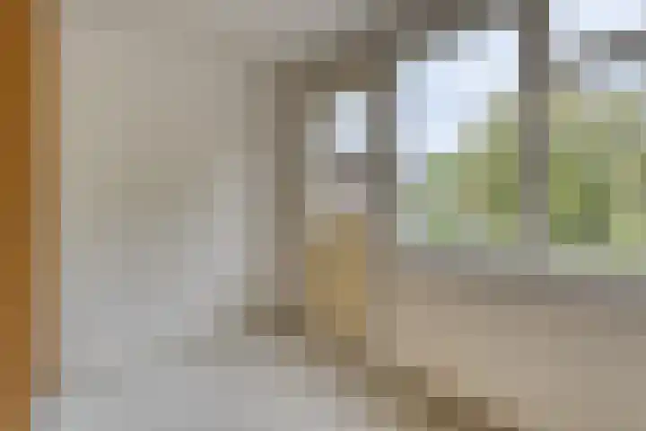 Halmersinge 16 Zuidlaren thumbnail 21