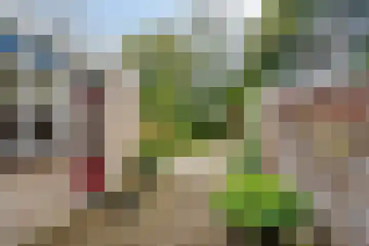 Halmersinge 16 Zuidlaren thumbnail 26