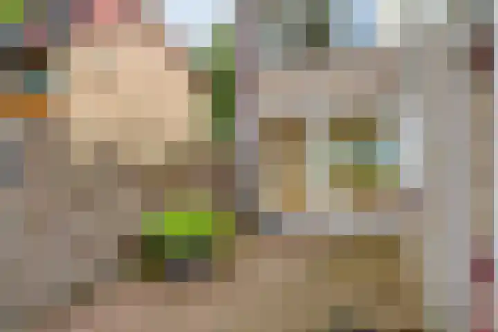 Halmersinge 16 Zuidlaren thumbnail 27