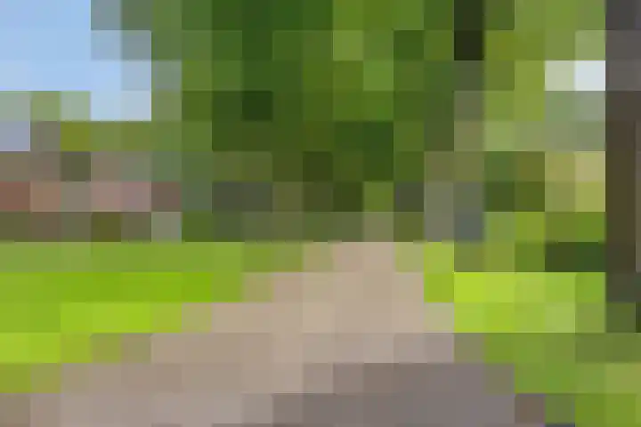 Halmersinge 16 Zuidlaren thumbnail 33