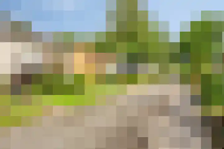 Halmersinge 16 Zuidlaren thumbnail 34