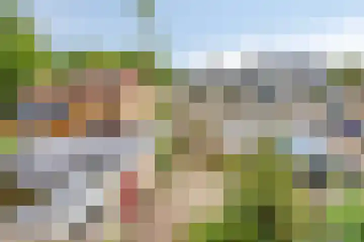 Halmersinge 16 Zuidlaren thumbnail 4