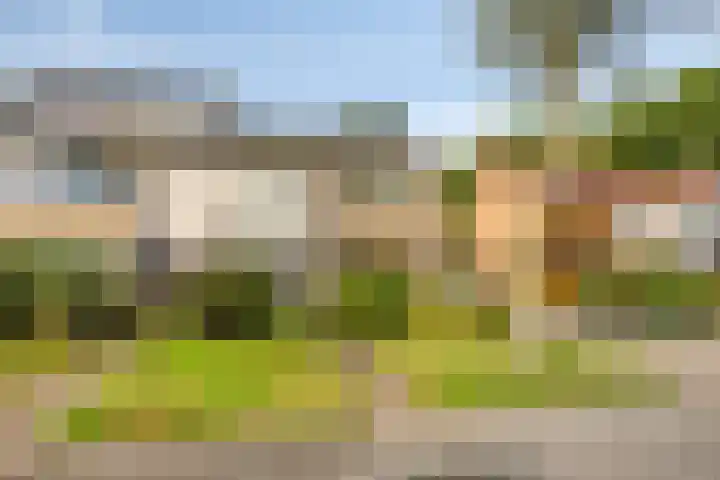 Halmersinge 16 Zuidlaren thumbnail 5