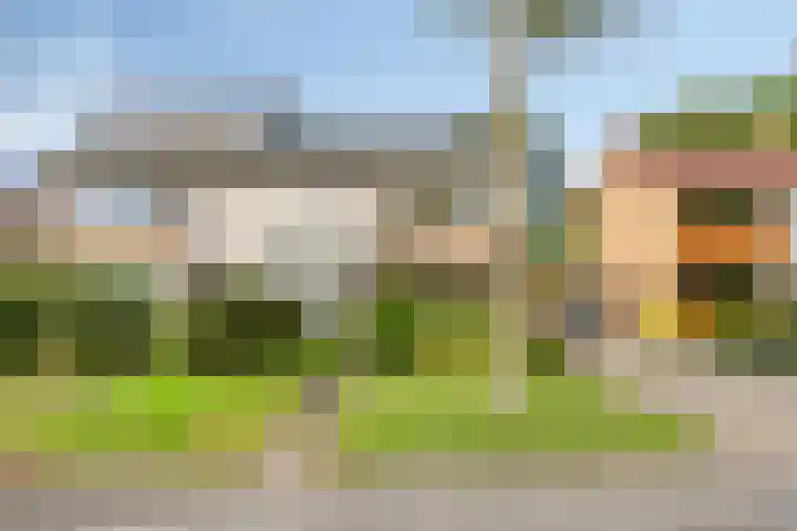 Halmersinge 16 Zuidlaren thumbnail 6