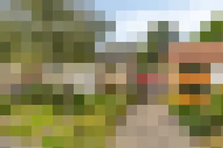 Halmersinge 16 Zuidlaren thumbnail 7