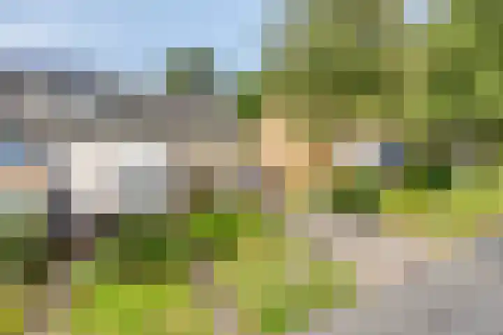 Halmersinge 16 Zuidlaren thumbnail 8