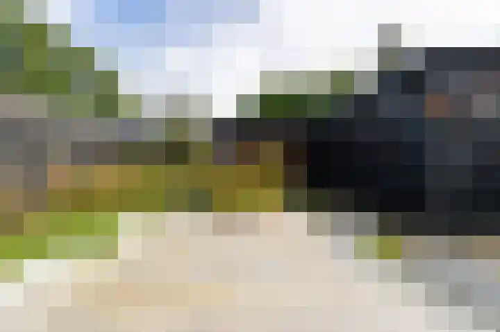 Halmersinge 57 Zuidlaren thumbnail 36