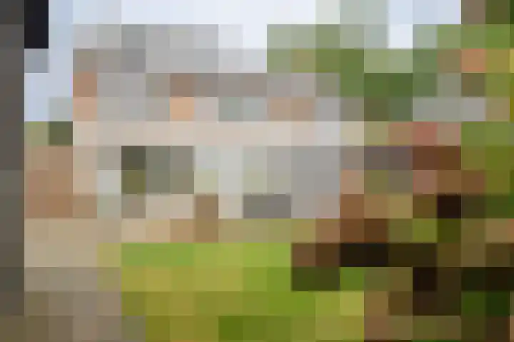 Halmersinge 57 Zuidlaren thumbnail 41