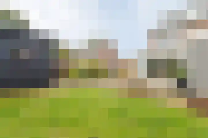 Halmersinge 57 Zuidlaren thumbnail 42