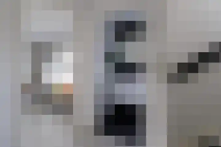 Halmersinge 57 Zuidlaren thumbnail 56