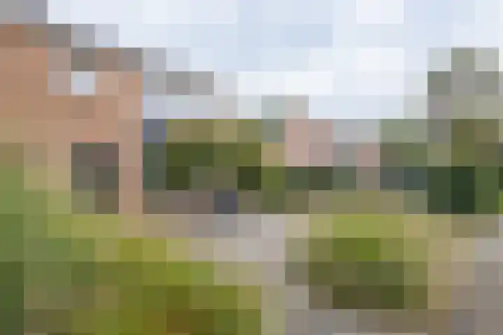 Halmersinge 57 Zuidlaren thumbnail 6