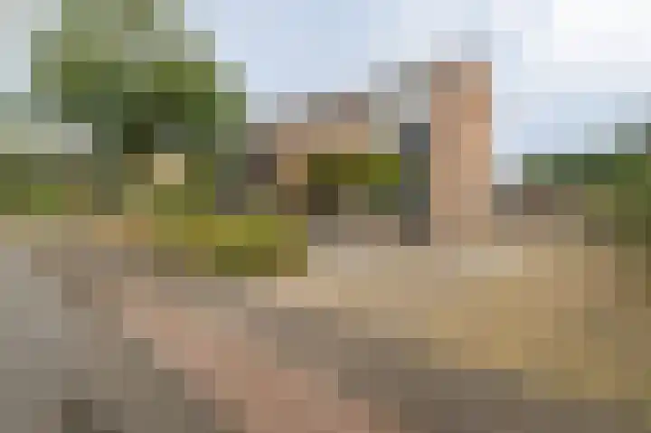 Halmersinge 57 Zuidlaren thumbnail 72