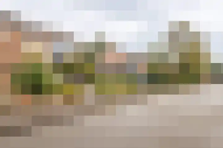 Halmersinge 57 Zuidlaren thumbnail 73